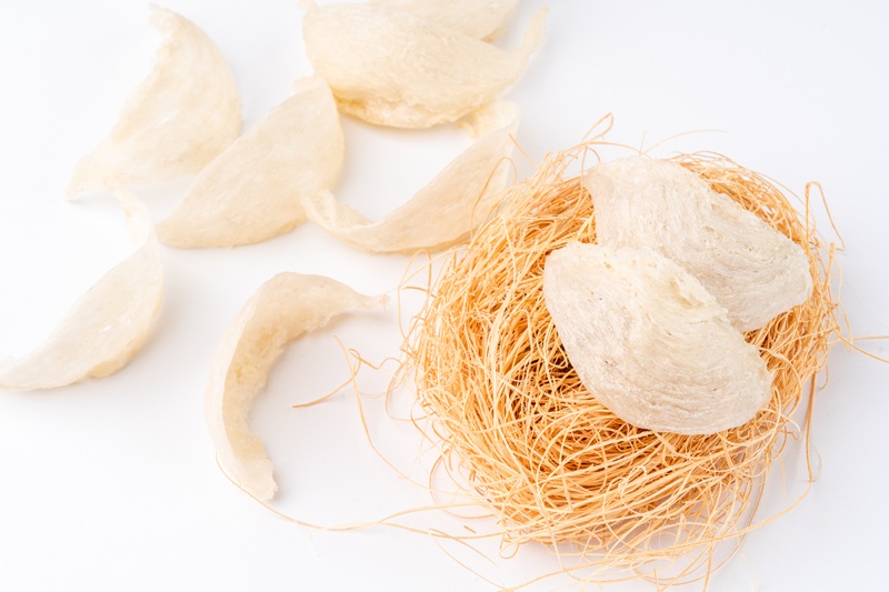 The Journey of Edible Bird’s Nests From the Cave to Your Table